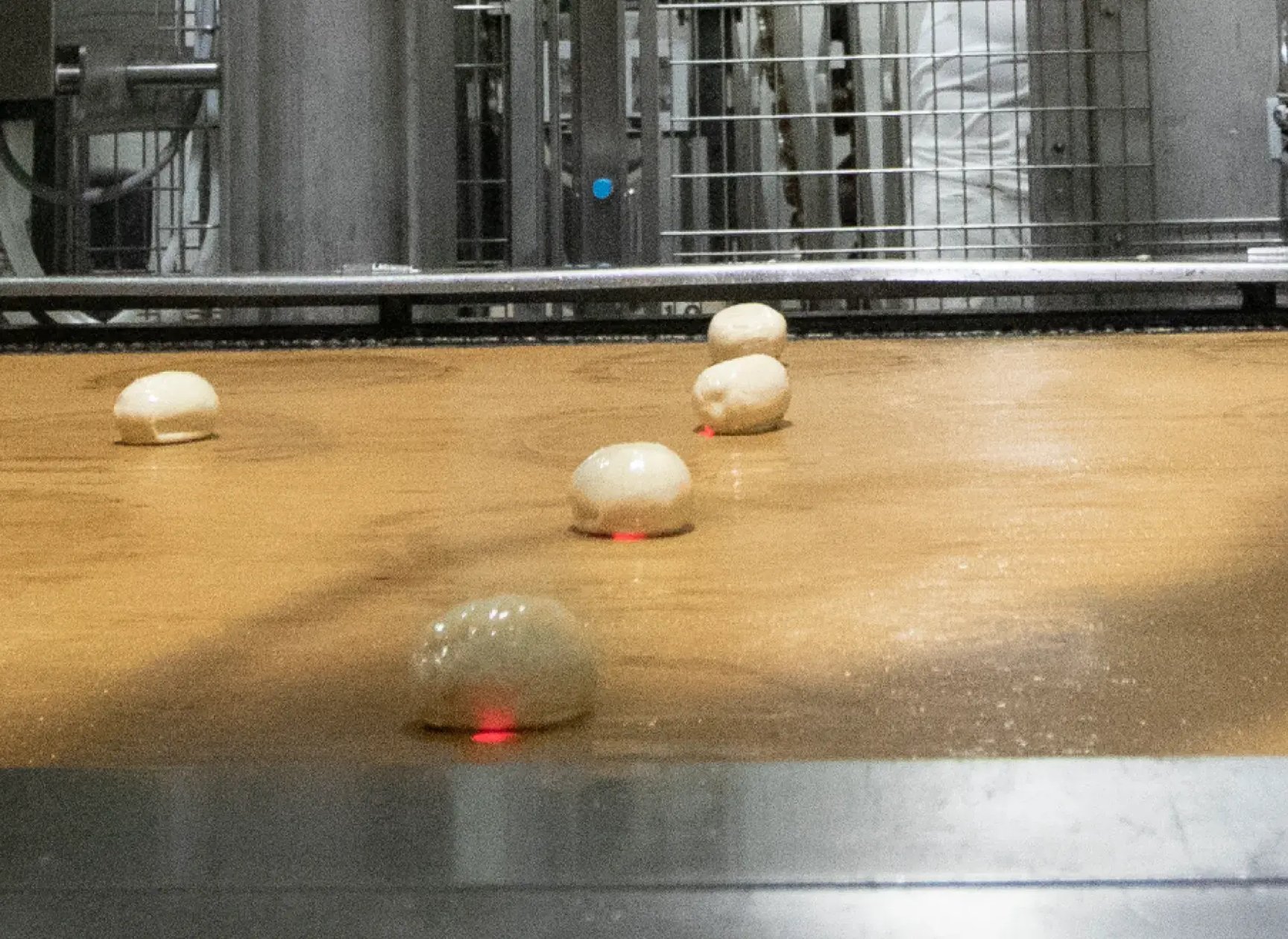 Dough-inspection-conveyor-macro