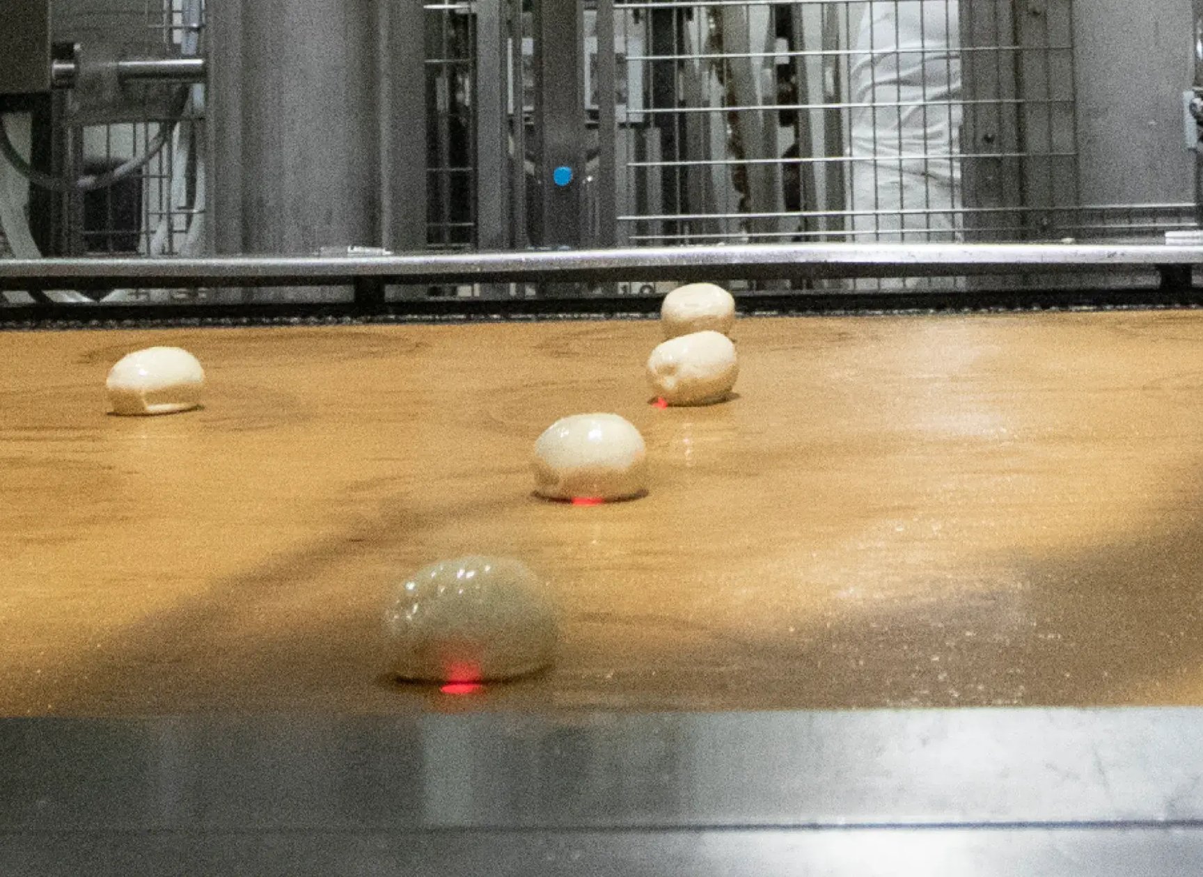 Dough-inspection-conveyor-macro