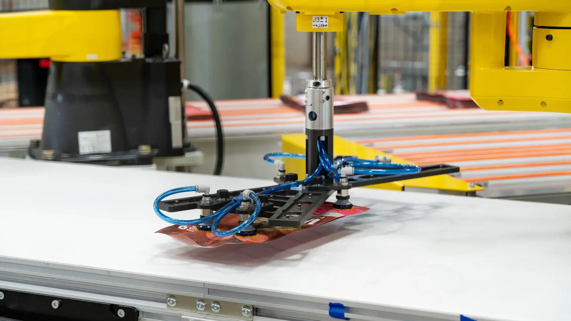 Pet Food Bags Pick & Place, Stacking and Case Packing